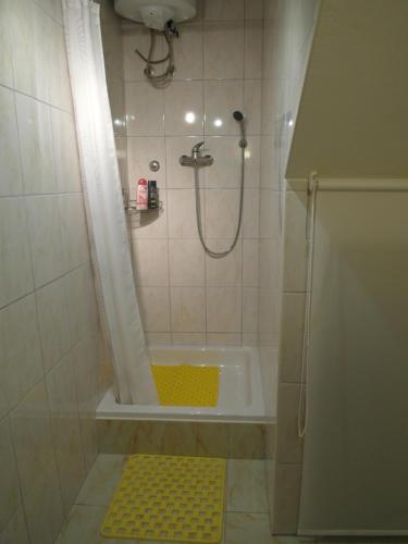 希贝尼克Apartment Antonio的带淋浴和浴缸的小浴室