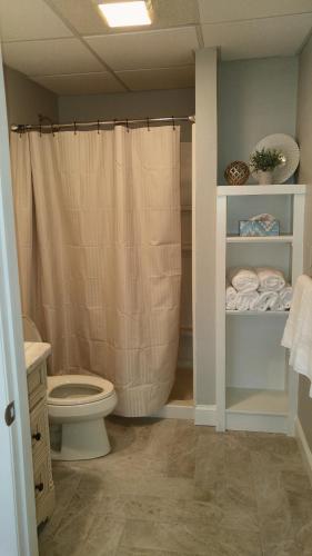 西斯普林菲尔德Lily's Lodge的带淋浴帘和卫生间的浴室