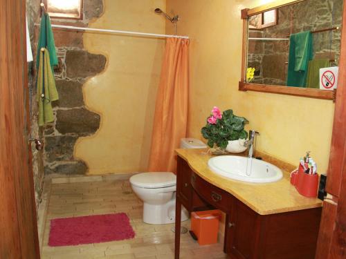 阿古伊梅斯卡萨乡村皮勒塔本特度假屋的浴室配有卫生间、盥洗盆和淋浴。