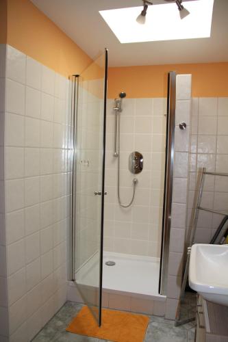德累斯顿dresdnerferienwohnung - apartment am großen garten的带淋浴和盥洗盆的浴室