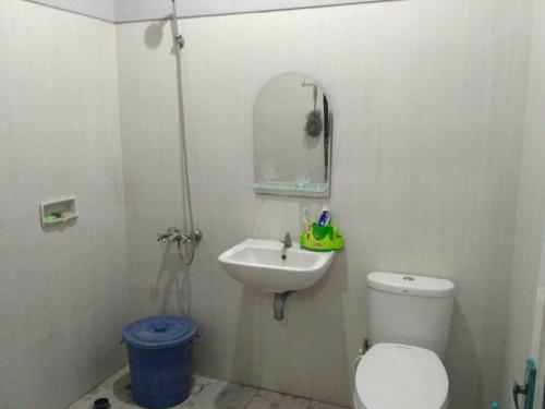 普兰巴南mas Eko Jlatren kost homestay的一间带水槽、卫生间和镜子的浴室