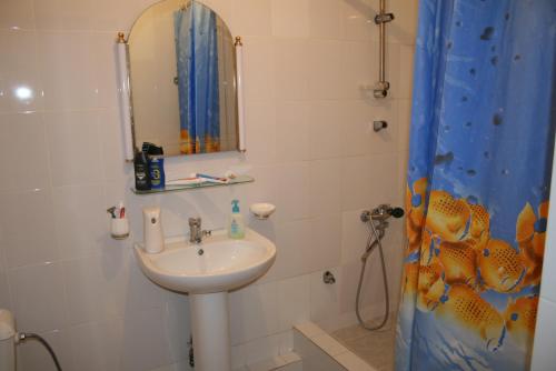 阿斯塔纳美洲旅舍的一间带水槽、镜子和淋浴的浴室