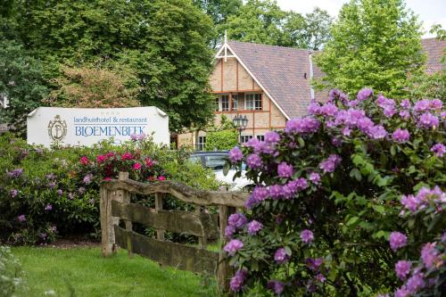 德吕特花卉流庄园酒店的一座花园,花园内种有鲜花,建筑前设有围栏