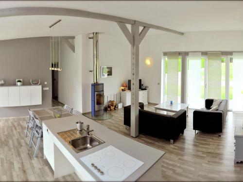 AbreschvillerComfortable apartment with balcony的厨房以及带水槽和沙发的客厅。