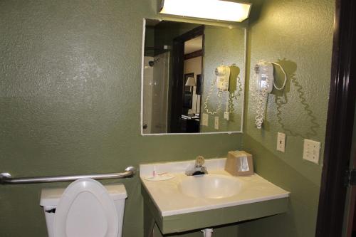 奥尔巴尼奥尔巴尼骑士酒店 的一间带水槽、卫生间和镜子的浴室