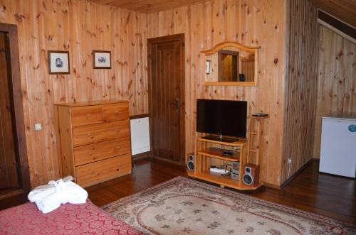 RomankivChumatskiy Shlyah的一间卧室设有一张床、一台电视和木墙