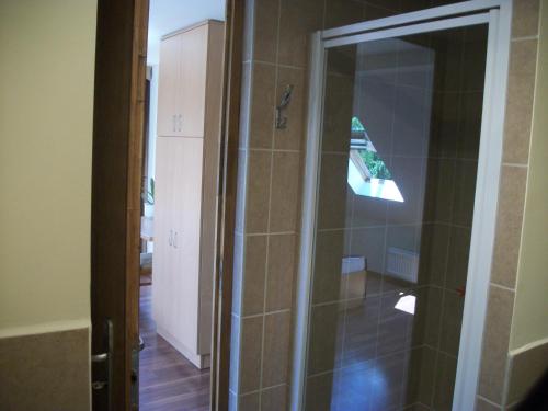 巴拉顿诺尔马迪Hotel Viktória的浴室里设有玻璃门淋浴