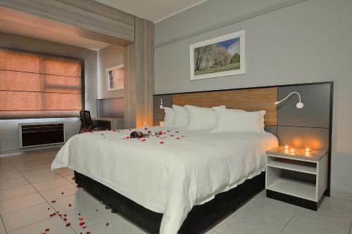 比勒陀利亚帕克洛奇酒店的一间卧室配有一张玫瑰花大床