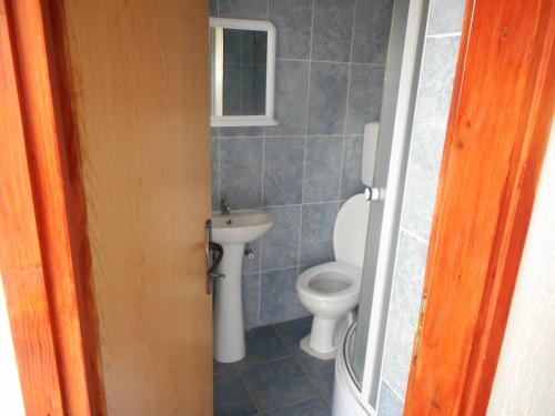扎布利亚克Apartment Andjela的一间带卫生间和水槽的浴室