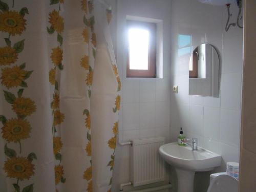 卡缅诺莫斯茨基Guesthouse Lyubava的一间带水槽和淋浴帘的浴室