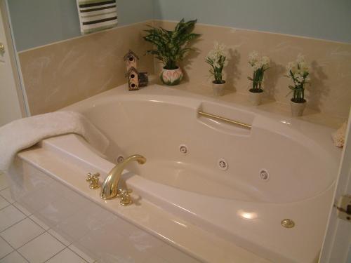 GranbyTruman Gillet House B & B的浴室内设有带盆栽的白色浴缸