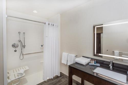 迈阿密迈阿密机场温德姆集团温盖特酒店 的一间带水槽、淋浴和镜子的浴室