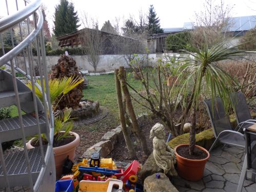 Stadtsteinach科罗纳克尔公寓的院子里种有植物和玩具的花园