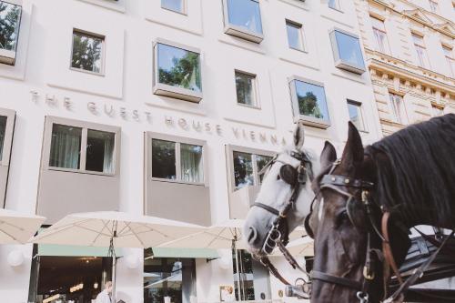 维也纳旅馆