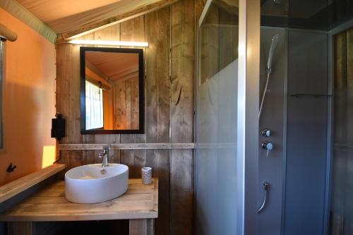 OostvleterenGlamping Aan de Vleterbeke的一间带水槽、镜子和淋浴的浴室