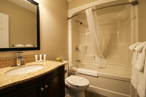 蒙克顿蒙克顿酒店的一间带水槽、卫生间和淋浴的浴室