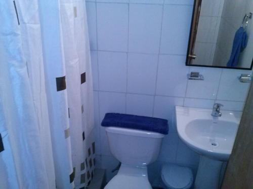 拉斯特朗卡斯Cabañas Aliwen的浴室配有白色卫生间和盥洗盆。