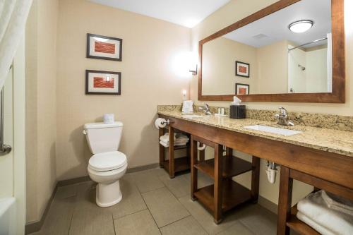摩押莫伯舒适套房酒店－靠近拱门国家公园的一间带卫生间、水槽和镜子的浴室
