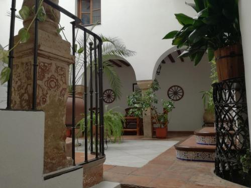 蒙托罗卡萨迈卡酒店的种植了植物的庭院和铁门