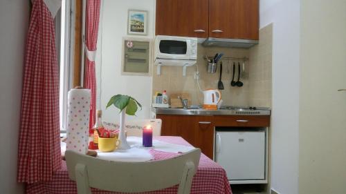杜布罗夫尼克中心公寓的厨房或小厨房
