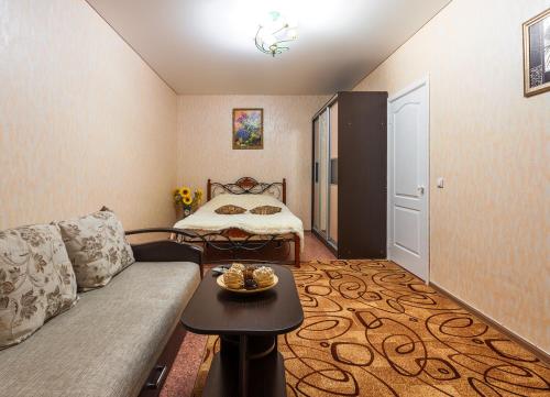 沃罗涅什Apartment 45 Str. Divizii 108的客厅配有沙发和1张床