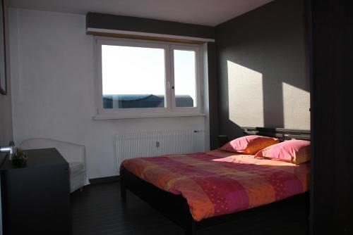 斯特拉斯堡L'Appartement de l'Observatoire的一间卧室配有带粉红色枕头的床和窗户。