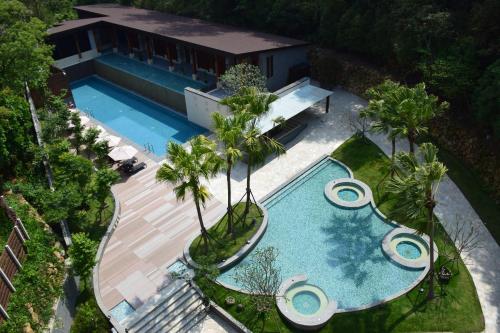鱼池乡日月潭馥丽温泉大饭店的享有棕榈树游泳池的顶部景致