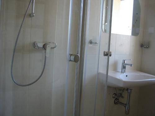 KadarėsPiligrimo Užeiga的带淋浴和盥洗盆的浴室