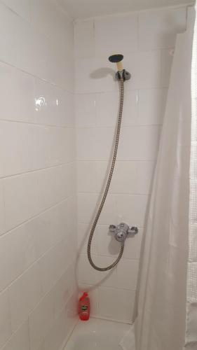 贝尔法斯特亚历山德拉公园之家民宿的白色浴室内带软管的淋浴