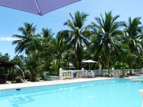 巴亚索拉诺Hotel Costa Choco的度假村的游泳池,以棕榈树为背景