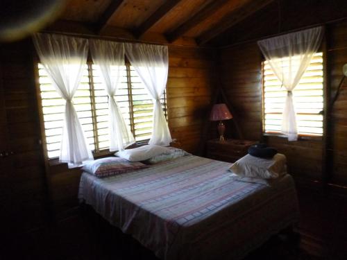 Little BayLittle Bay Beach House的一间卧室配有床和两个带窗帘的窗户