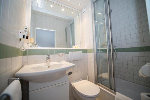 施泰尔施蒂里亚公园酒店的一间带水槽、卫生间和淋浴的浴室