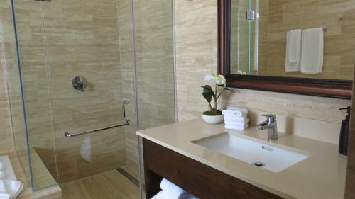 Paseo Suites El Valle, Luxury Apartments的一间浴室
