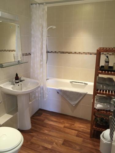 杰德堡阿勒顿酒店的浴室配有盥洗盆、卫生间和浴缸。
