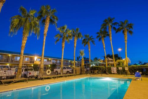 布劳利布劳利旅馆的棕榈树酒店前的游泳池