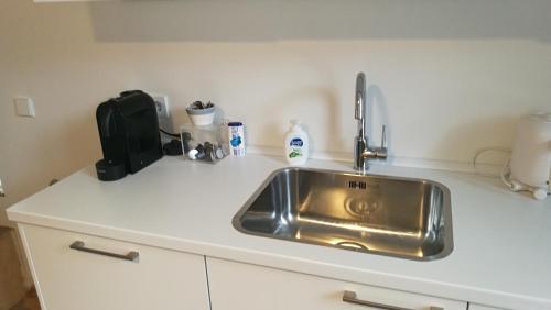 阿姆斯特丹Terrace Apartment Cyclades的厨房柜台配有不锈钢水槽