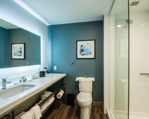 麦卡伦麦卡伦坎布里亚酒店及会议中心的浴室配有卫生间、盥洗盆和淋浴。