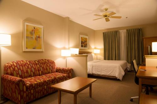 布劳利布劳利旅馆的酒店客房设有一张沙发和一张床