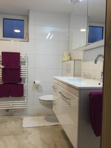 SibratsgfällApartment Nest的白色的浴室设有水槽和卫生间。