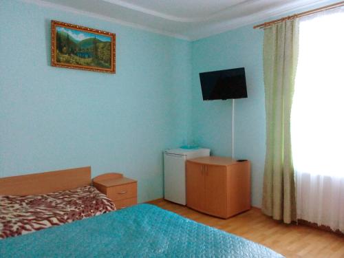 西尼亚克Sadiba "Lisova Pisnia"的卧室配有一张床,墙上配有电视
