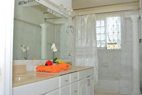 蒙特哥贝Paradise Palms Jamaica Vacation Rental的白色的浴室设有水槽和淋浴。