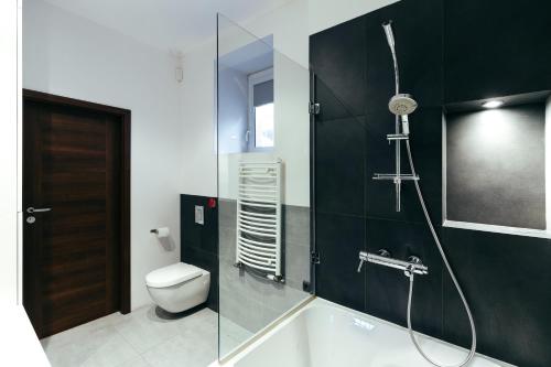 罗兹Apartment In The Strict City Centre的一间带卫生间和玻璃淋浴间的浴室