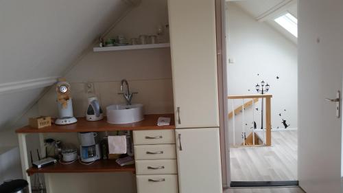 登堡Homestay Texel的一个带柜台和水槽的厨房