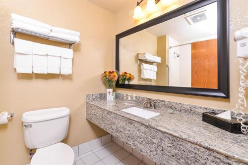 林垦卡尔森林肯北乡村酒店及套房的一间带卫生间、水槽和镜子的浴室