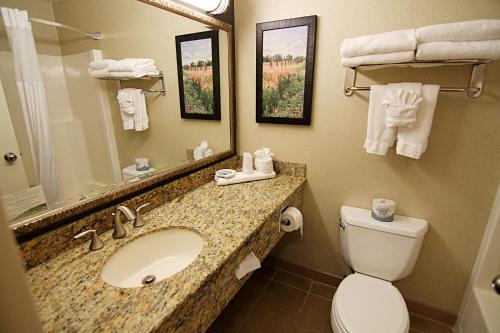 格兰福克福克斯科盟大酒店的一间带水槽、卫生间和镜子的浴室