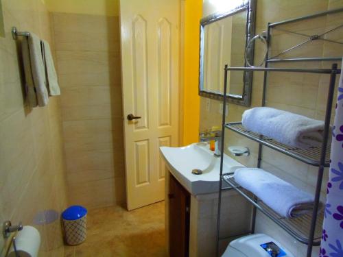 孔塔多拉Casa del Sol Bed and Breakfast的一间带水槽、镜子和卫生间的浴室