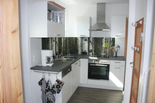 格拉尔-米里茨Ferienhaus Buhne V的白色的厨房设有水槽和炉灶。