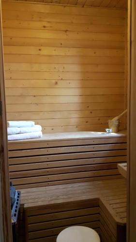 罗兹达里亚德沃雷克米斯里维斯基酒店的一间带桑拿浴室、卫生间和毛巾的浴室