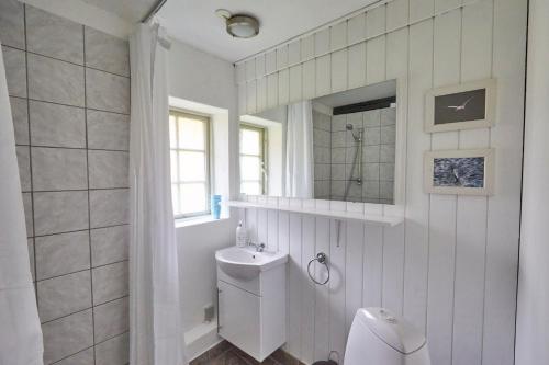 诺德堡莫勒盖德度假旅馆的一间带卫生间、水槽和镜子的浴室