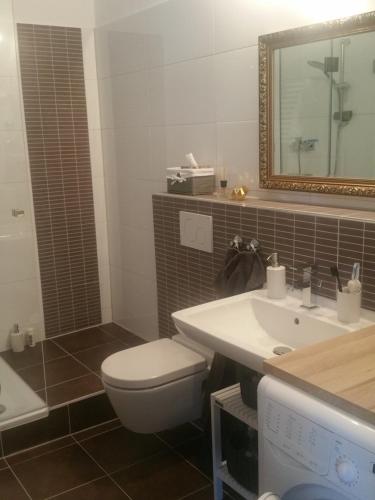 克雷费尔德Apartment am Zoo的一间带卫生间、水槽和镜子的浴室